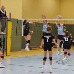 VfB 91 Suhl III : Schmalkalder VV (Damen I)