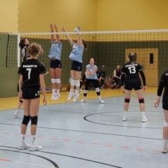 VfB 91 Suhl III : Schmalkalder VV (Damen I)