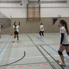 Schmalkalder VV (Damen II) : Schmalkalder VV (Damen III)