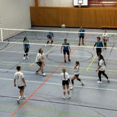 SG Blau Weiß Schwallungen : Schmalkalder VV (Mixed)