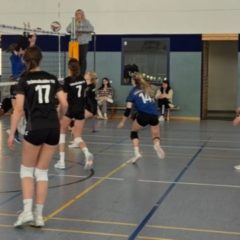 VC Hildburghäuser Land I : Schmalkalder VV (Damen I)