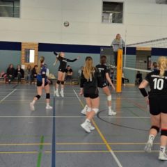 VC Hildburghäuser Land I : Schmalkalder VV (Damen I)