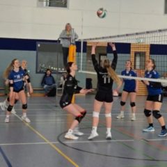 VC Hildburghäuser Land I : Schmalkalder VV (Damen I)