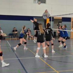 VC Hildburghäuser Land I : Schmalkalder VV (Damen I)