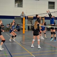 VC Hildburghäuser Land I : Schmalkalder VV (Damen I)