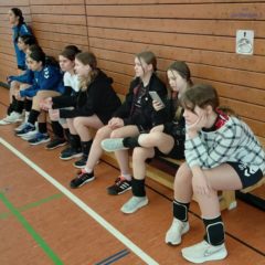 Trainingsturnier der U14 weiblich in Neuhaus am Rennweg