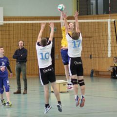 Schmalkalder VV (Herren I) : 1. Volleyballclub Schloß Apolda