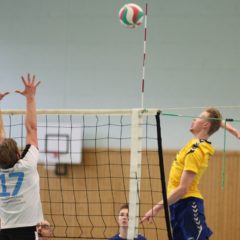 Schmalkalder VV (Herren I) : 1. Volleyballclub Schloß Apolda