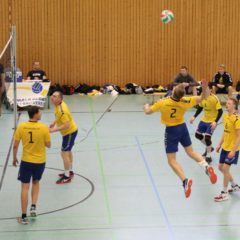 Schmalkalder VV (Herren I) : 1. Volleyballclub Schloß Apolda