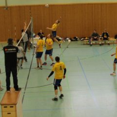 Schmalkalder VV (Herren I) : 1. Volleyballclub Schloß Apolda