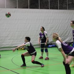Volleyballverein 70 Meiningen : Schmalibus