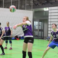 Volleyballverein 70 Meiningen : Schmalibus