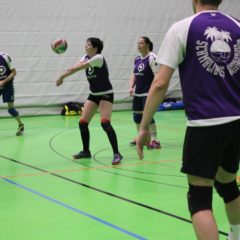 Volleyballverein 70 Meiningen : Schmalibus