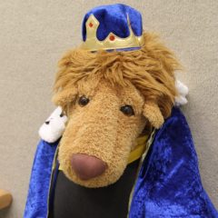 Kinderfasching des Schmalkalder VV 2026