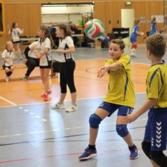 1. Runde der Landesmeisterschaft U12 männlich