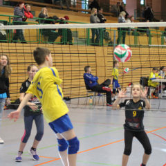 3. Runde der Landesmeisterschaft U12 männlich