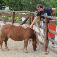 Ferienfreizeit des Schmalkalder VV 2026