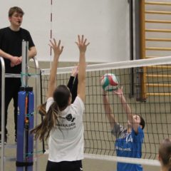 Schmalkalder VV (Damen II) : VV70 Meiningen IV