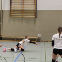 Schmalkalder VV (Damen II) : VV70 Meiningen IV