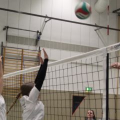 Schmalkalder VV (Damen II) : VV70 Meiningen IV