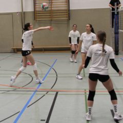 Schmalkalder VV (Damen II) : VV70 Meiningen IV