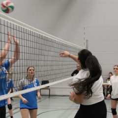 Schmalkalder VV (Damen II) : VV70 Meiningen IV