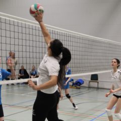 Schmalkalder VV (Damen II) : VV70 Meiningen IV