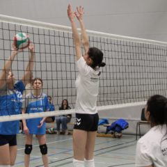 Schmalkalder VV (Damen II) : VV70 Meiningen IV