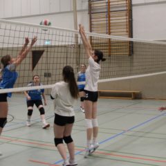 Schmalkalder VV (Damen II) : VV70 Meiningen IV