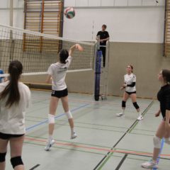 Schmalkalder VV (Damen II) : VV70 Meiningen IV