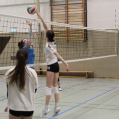 Schmalkalder VV (Damen II) : VV70 Meiningen IV