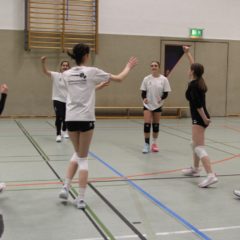 Schmalkalder VV (Damen II) : VV70 Meiningen IV