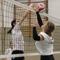 Schmalkalder VV (Damen III) : Schmalkalder VV II (Damen)