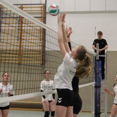 Schmalkalder VV (Damen III) : Schmalkalder VV II (Damen)