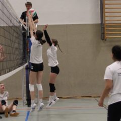 Schmalkalder VV (Damen III) : Schmalkalder VV II (Damen)