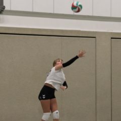 Schmalkalder VV (Damen III) : Schmalkalder VV II (Damen)