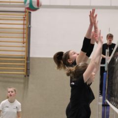 Schmalkalder VV (Damen III) : Schmalkalder VV II (Damen)