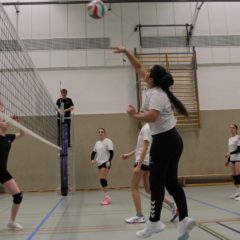 Schmalkalder VV (Damen III) : Schmalkalder VV II (Damen)