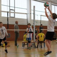 6. Runde der Landesmeisterschaft U13 männlich