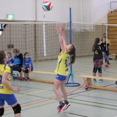 6. Runde der Landesmeisterschaft U12 weiblich