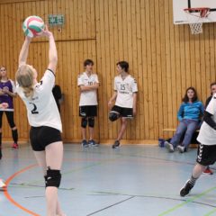 VBF Schmalkalden : Schmalkalder VV (Mixed)