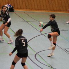 Schmalkalder VV (Damen I) : Volleyball Club Gotha (Damen)