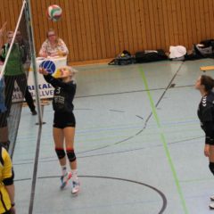 Schmalkalder VV (Damen I) : Volleyball Club Gotha (Damen)