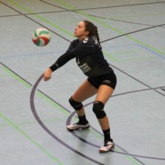 Schmalkalder VV (Damen I) : Volleyball Club Gotha (Damen)