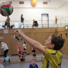 4. Runde der Landesmeisterschaft U12 männlich