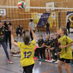 4. Runde der Landesmeisterschaft U12 männlich