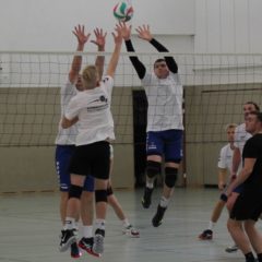 Schmalkalder VV (Herren I) : 1.TSV Bad Salzungen