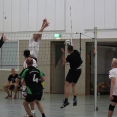 Schmalkalder VV (Herren I) : 1.TSV Bad Salzungen