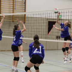 Schmalkalder VV (Damen III) : SG Blau Weiß Schwallungen