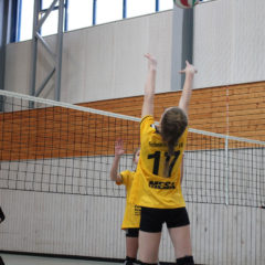 2. Runde – Landesmeisterschaft U13 weiblich